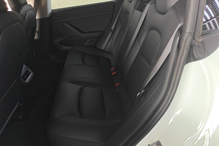 Tesla Model 3 2020 #17 Tesla Model 3 2020 car image #17