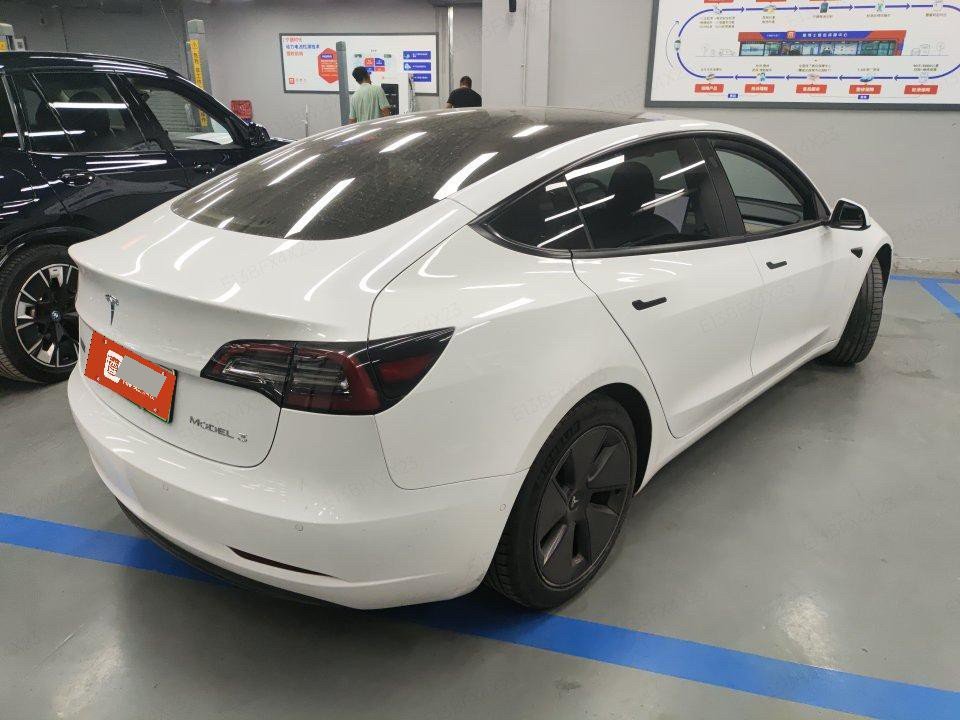 Tesla Model 3 2021 #5 Tesla Model 3 2021 car image #5