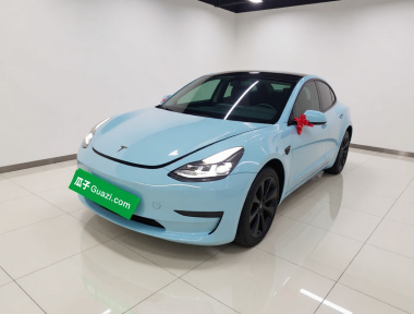 Tesla Model 3 2022 car image 
