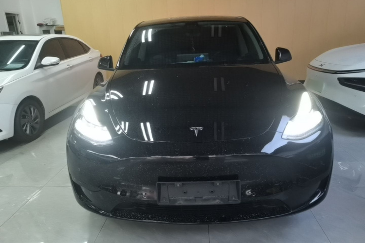 Tesla Model Y 2023 #3 Tesla Model Y 2023 car image #3