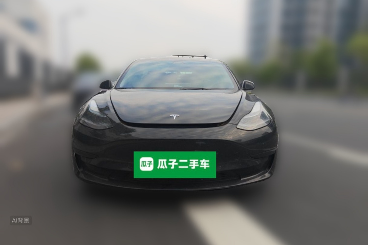 Tesla Model 3 2022 #3 Tesla Model 3 2022 car image #3