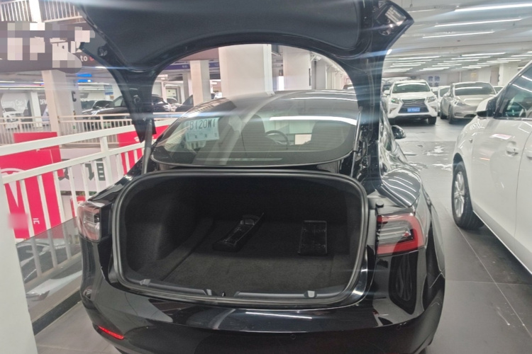 Tesla Model 3 2022 #19 Tesla Model 3 2022 car image #19