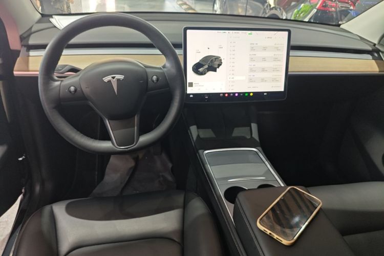 Tesla Model Y 2021 #10 Tesla Model Y 2021 car image #10