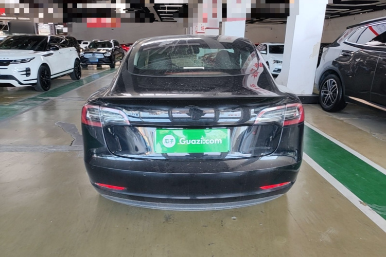 Tesla Model 3 2021 car image #6