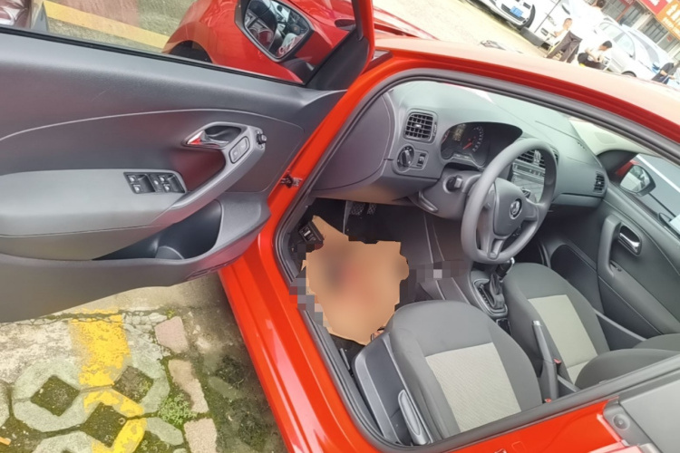Volkswagen Polo 2018 car image #16