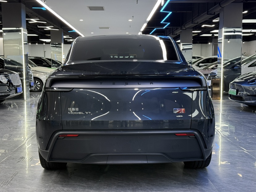 Tesla Model Y 2025 car image #7