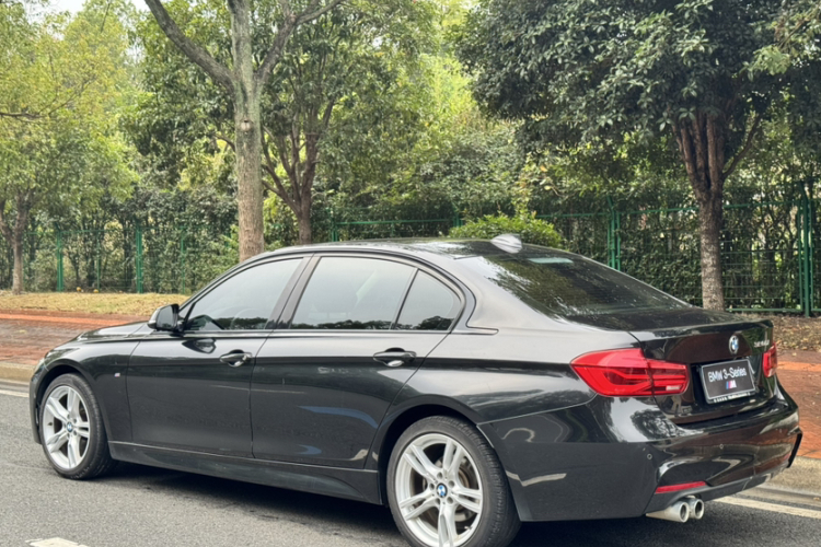 BMW 3 Series 2019 car image #5