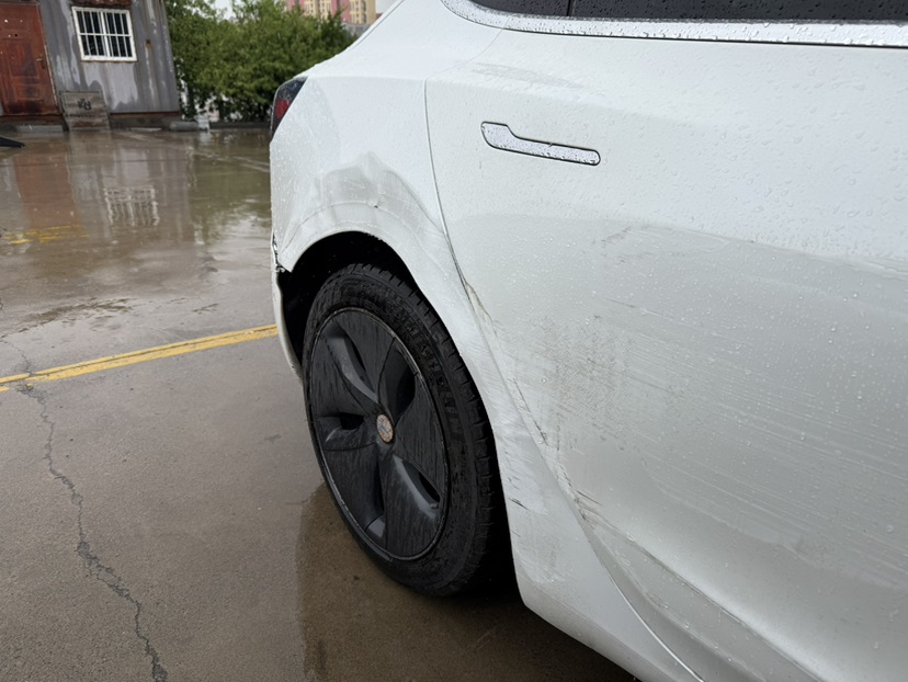 Tesla Model 3 (Imported) 2019 car image #8