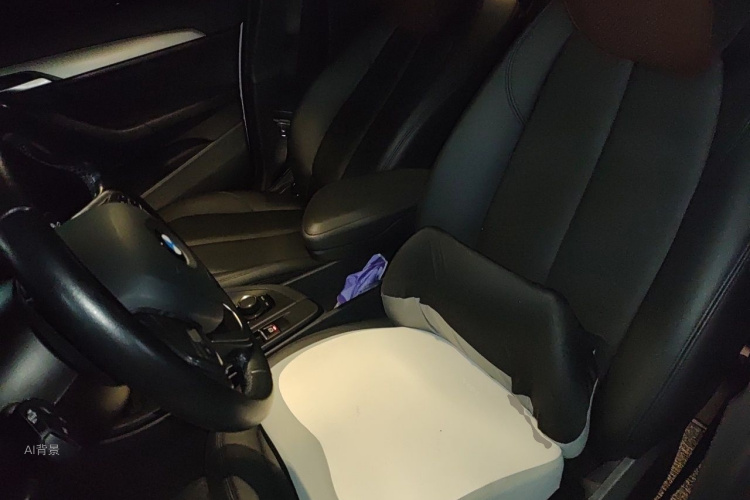BMW X1 2017 car image #17