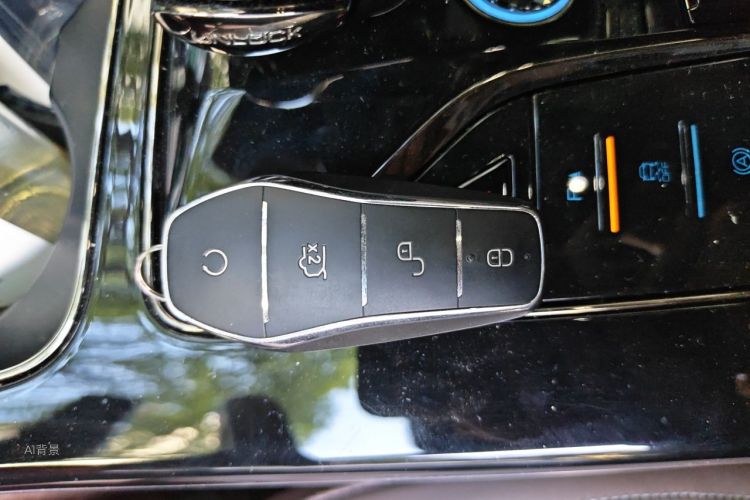 BYD Han 2024 car image #10