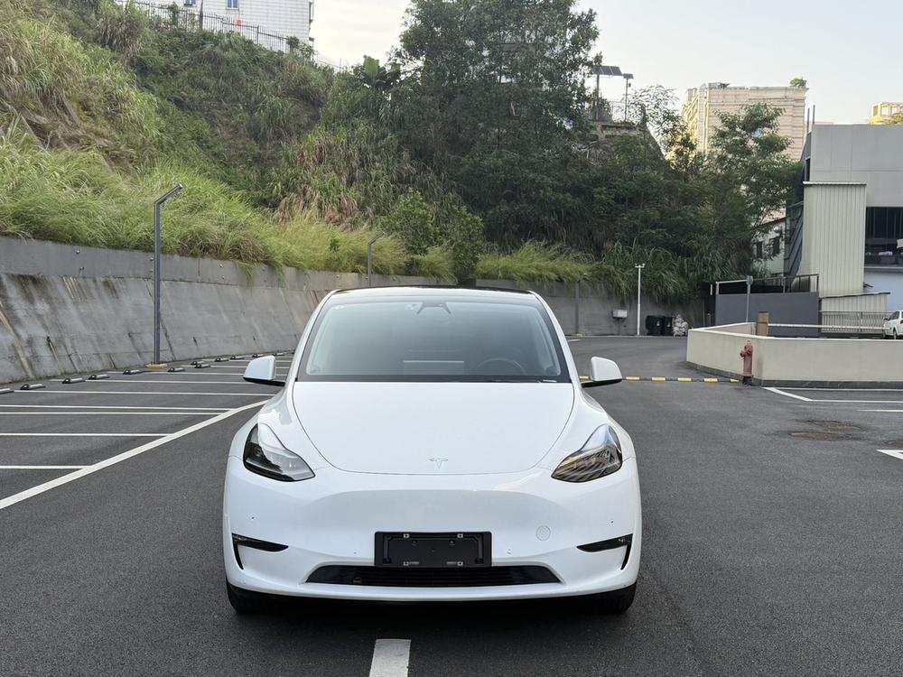 Tesla Model Y 2021 car image #2
