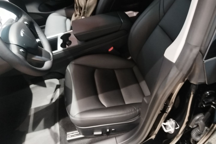 Tesla Model 3 2021 car image #15