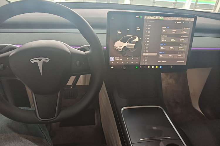 Tesla Model Y 2024 car image #10
