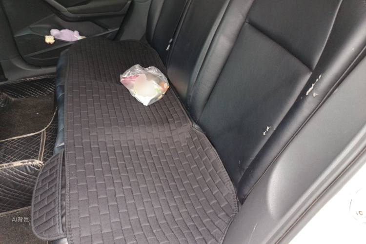 Volkswagen Lavida 2020 immagine di auto #19