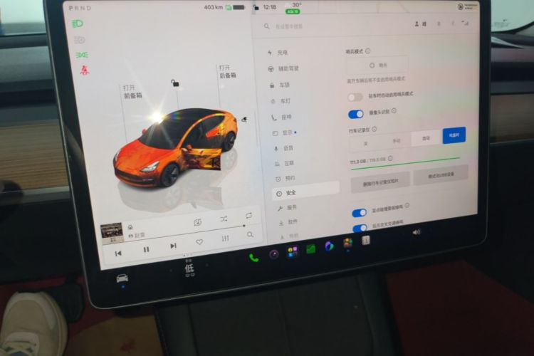 Tesla Model 3 2022 car image #13