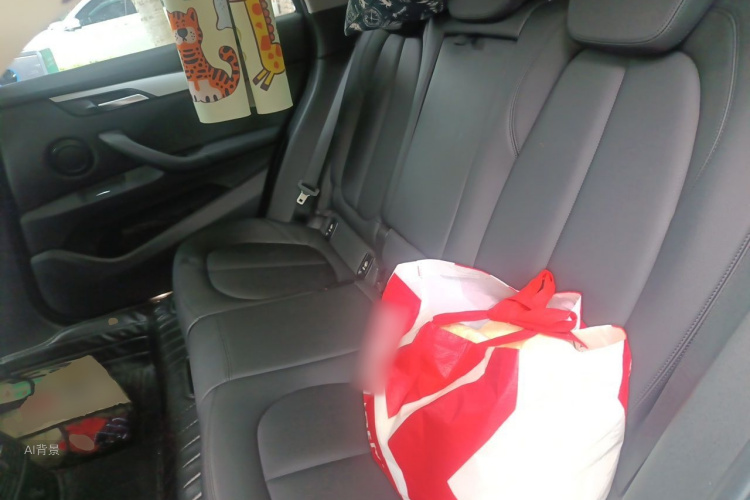 BMW X1 2016 #19 BMW X1 2016 car image #19