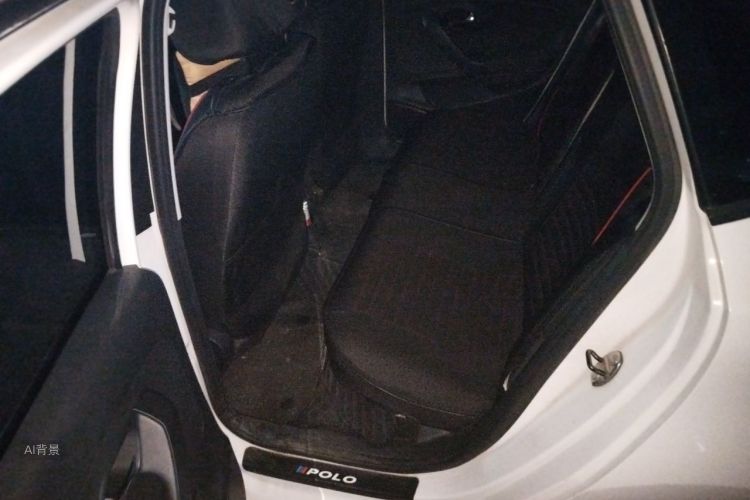 Volkswagen Polo 2016 car image #19