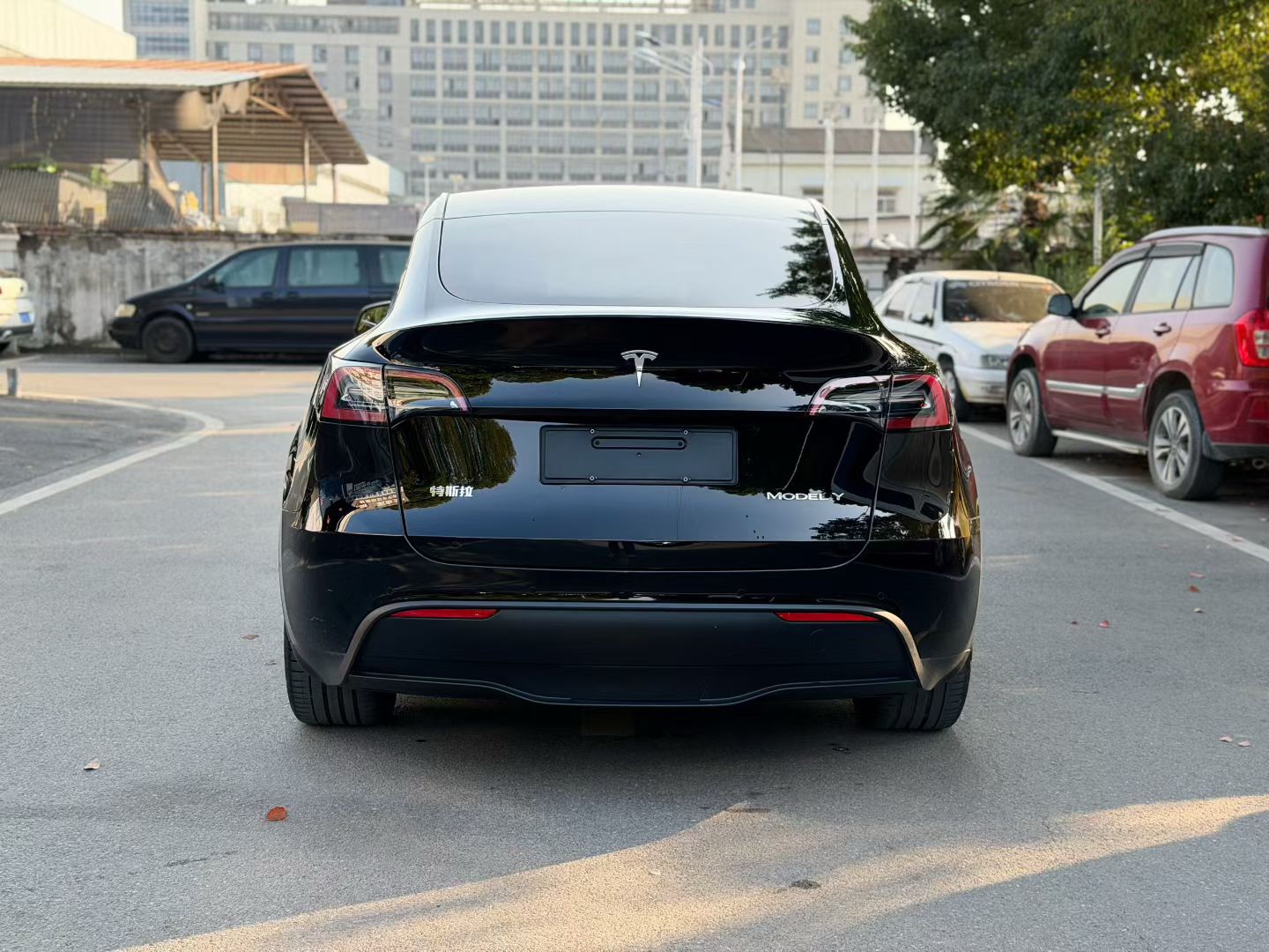 Tesla Model Y 2023 #6 Tesla Model Y 2023 car image #6