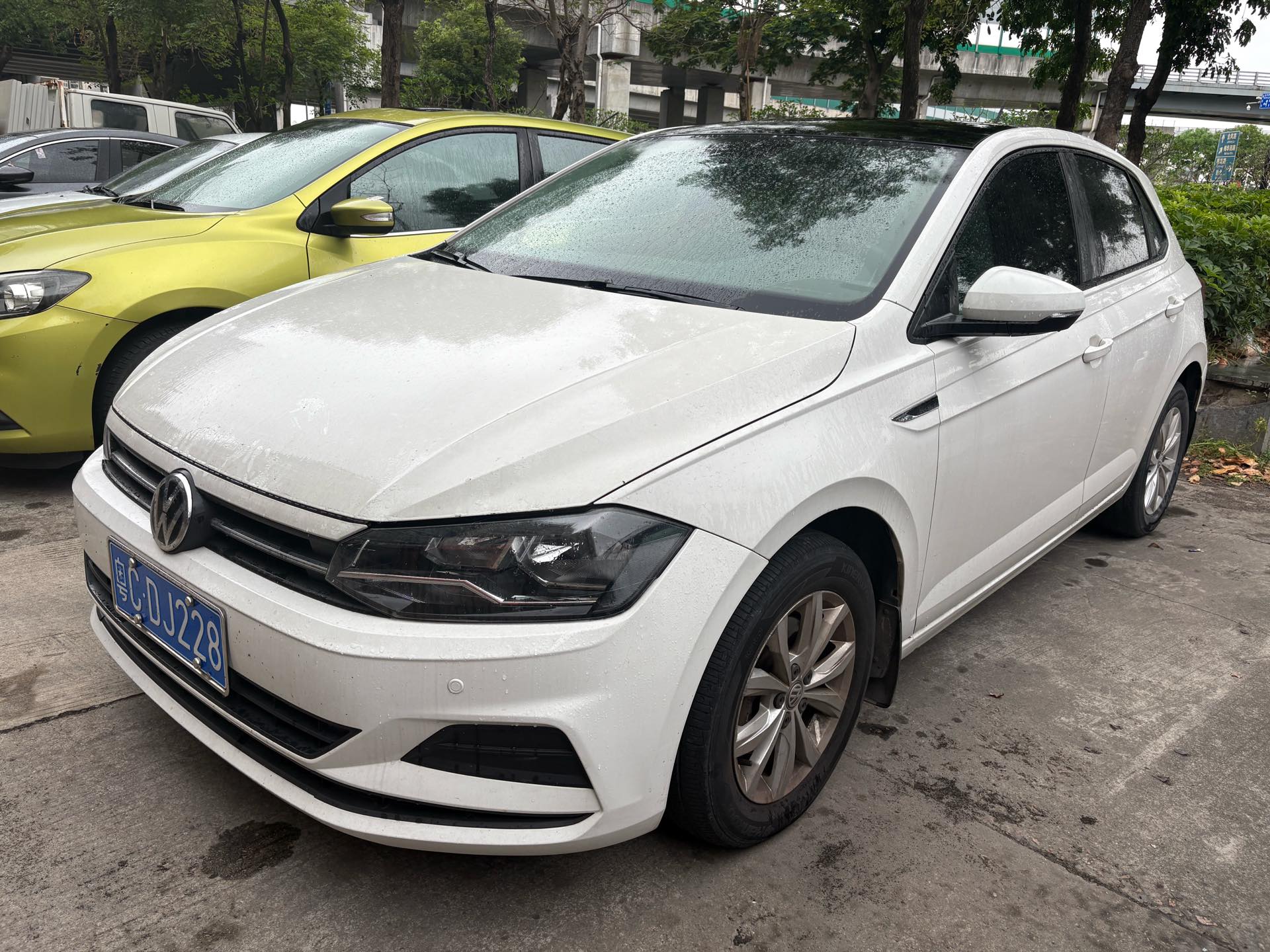 Volkswagen Polo 2019 Volkswagen Polo 2019 car image