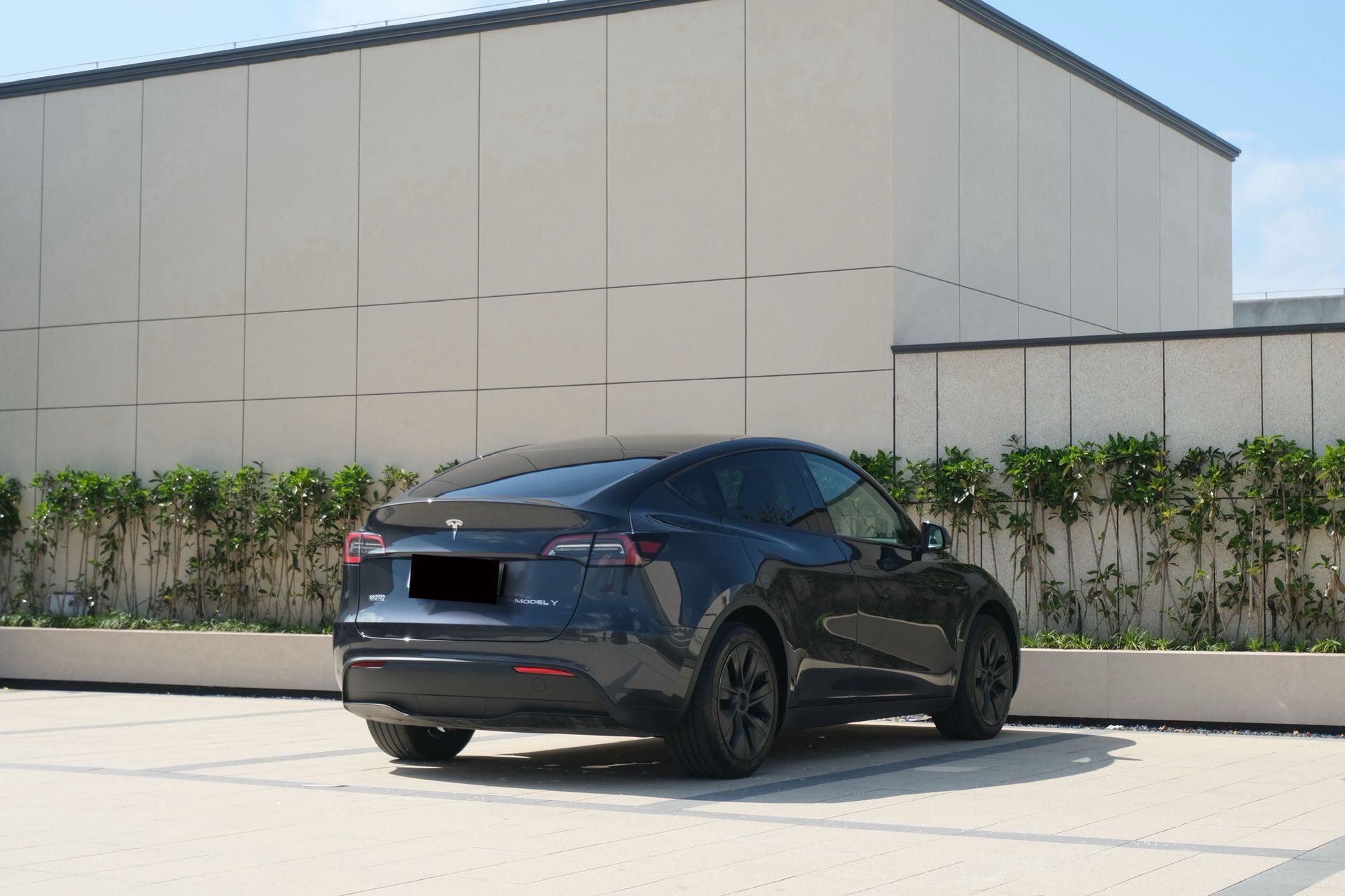Tesla Model Y 2025 car image #6