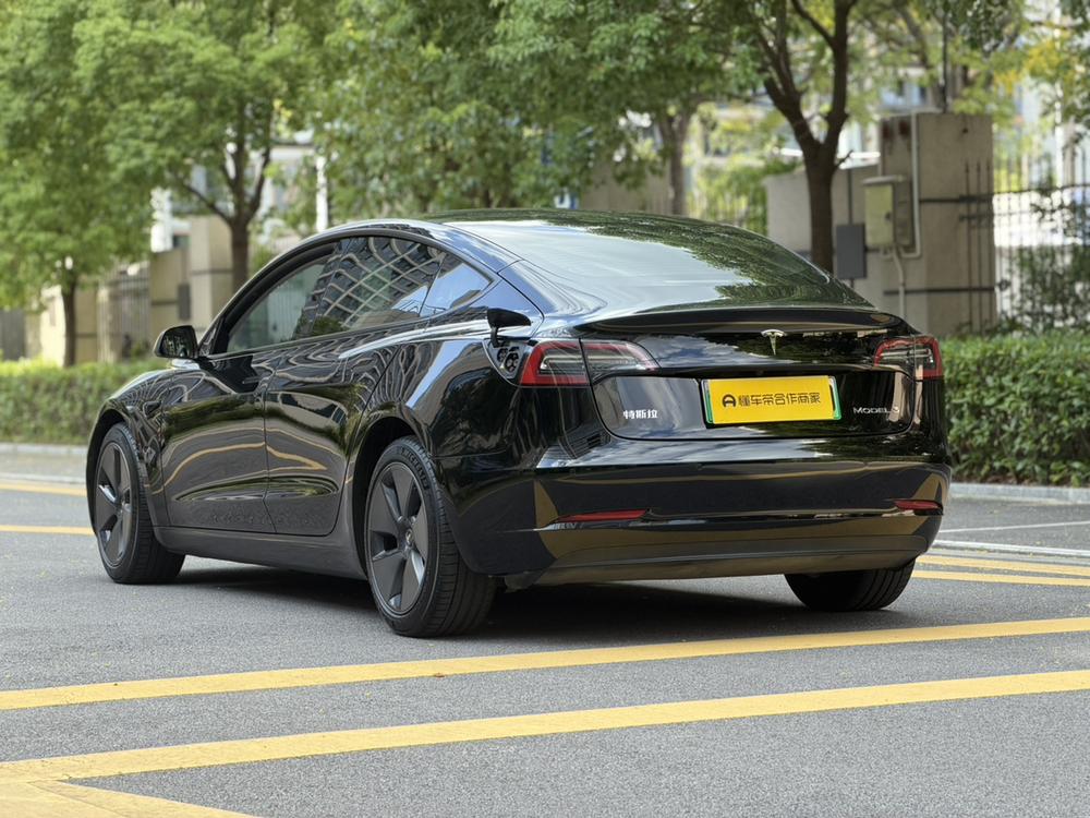 Tesla Model 3 2023 car image #4