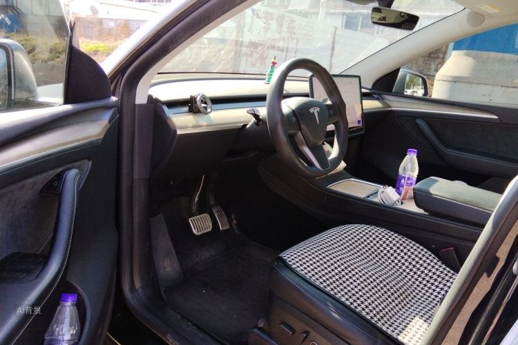 Tesla Model Y 2023 #18 Tesla Model Y 2023 car image #18