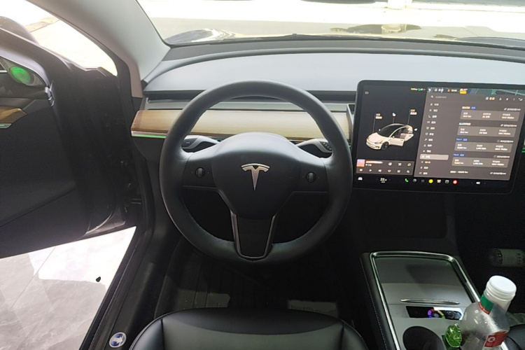 Tesla Model 3 2021 #11 Tesla Model 3 2021 car image #11