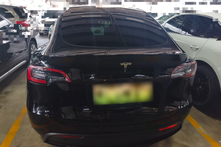 Tesla Model Y 2024 #6 Tesla Model Y 2024 car image #6
