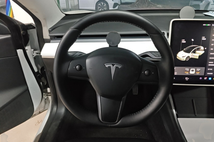 Tesla Model 3 2020 car image #11