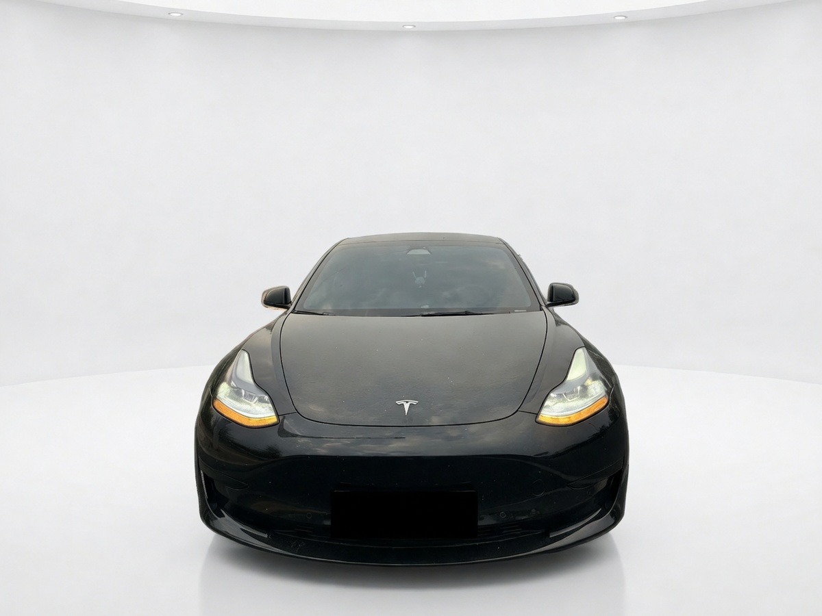 Tesla Model 3 2023 #2 Tesla Model 3 2023 car image #2