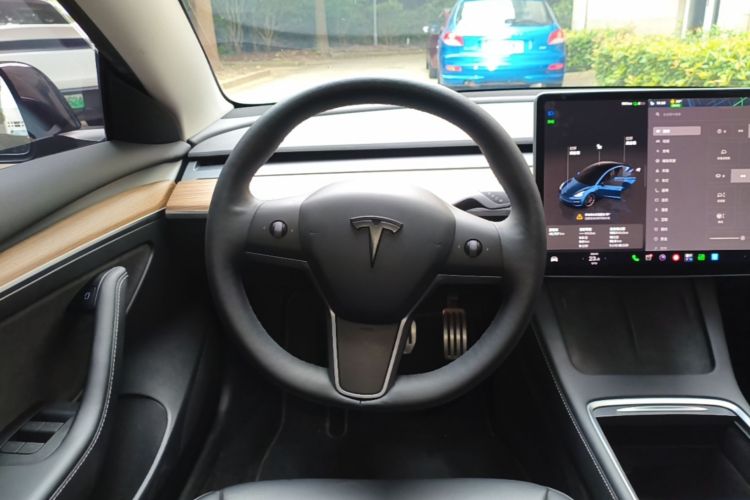 Tesla Model 3 2022 car image #15