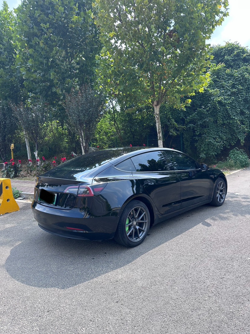Tesla Model 3 2021 car image #9
