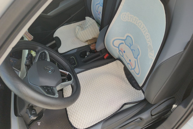 Volkswagen Lavida 2022 car image #15