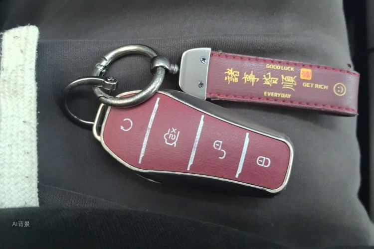 BYD Yuan Plus 2024 immagine di auto #10