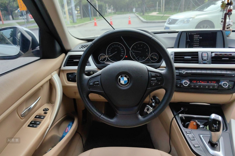 BMW 3 Series 2014 car image #12