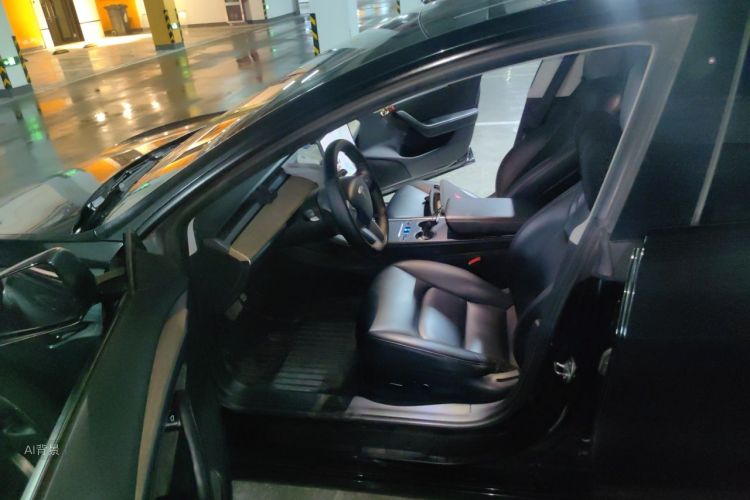Tesla Model 3 2021 car image #18