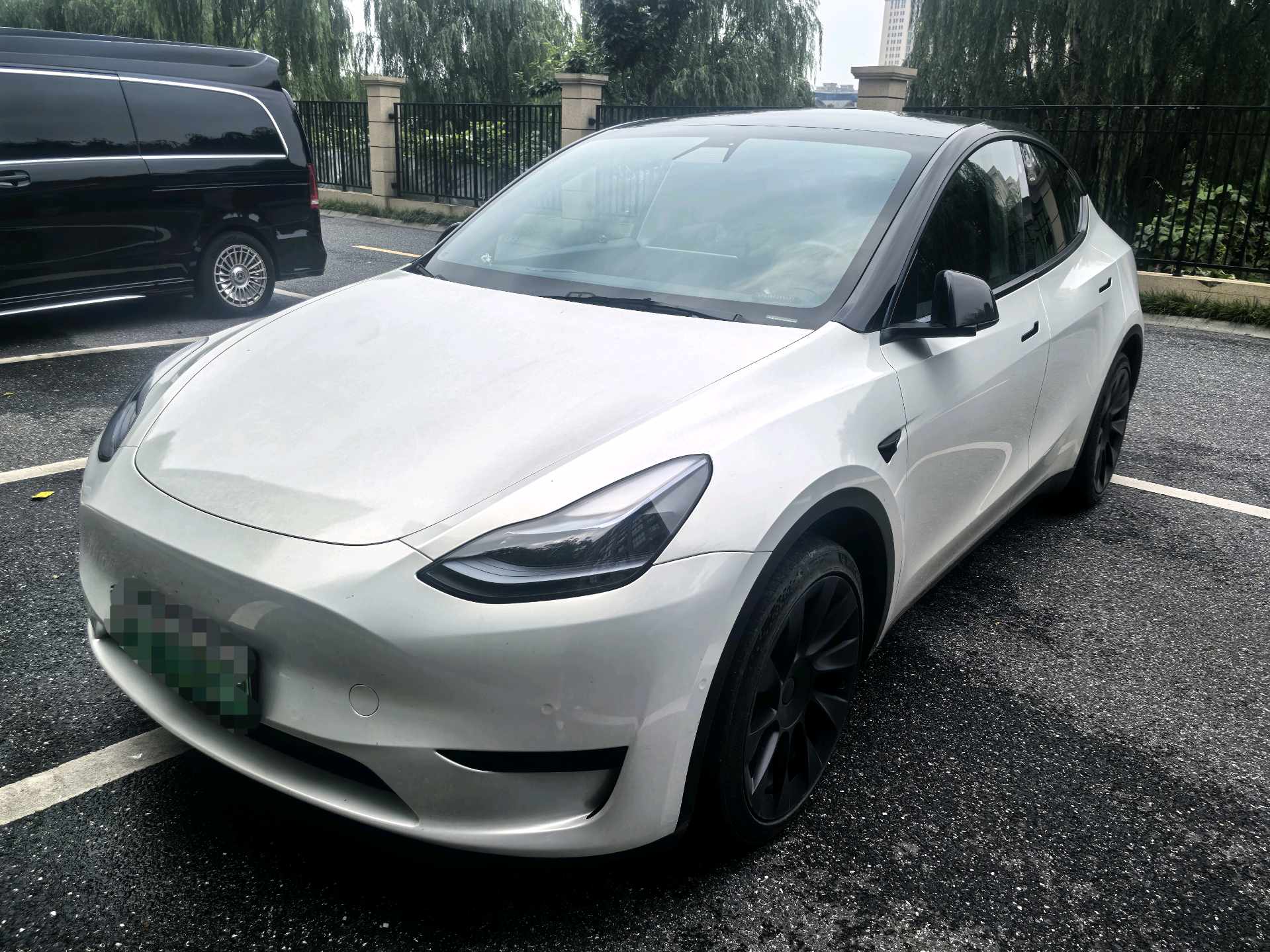 Tesla Model Y 2022 Tesla Model Y 2022 car image