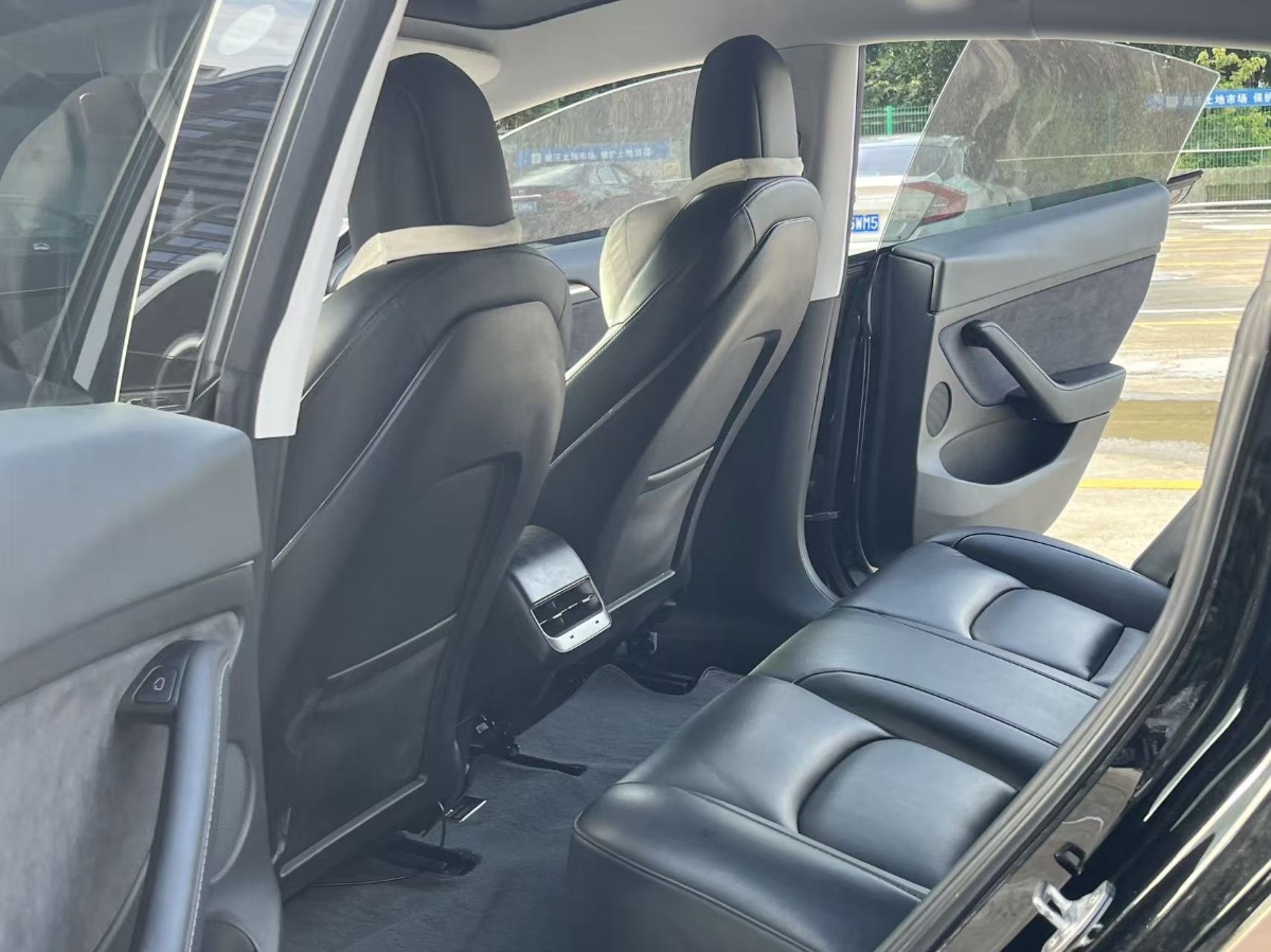 Tesla Model 3 2021 car image #6
