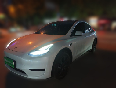 Tesla Model Y 2024 car image 