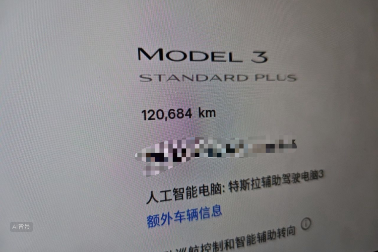 Tesla Model 3 2020 car image #14