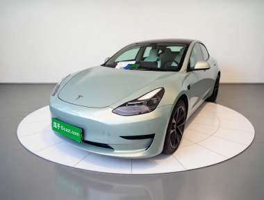 Tesla Model 3 2023 Tesla Model 3 2023 car image