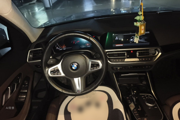 BMW 3 Series 2021 car image #12