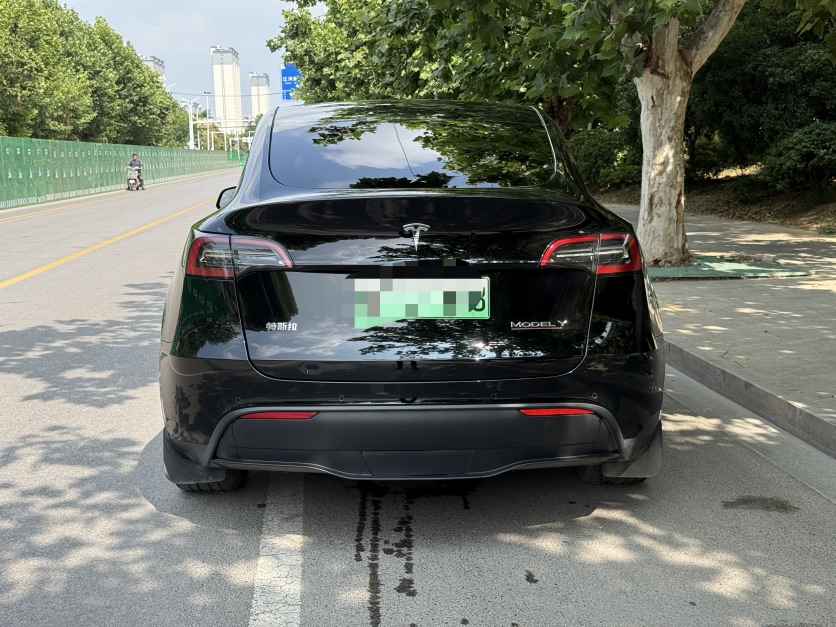 Tesla Model Y 2022 #9 Tesla Model Y 2022 car image #9