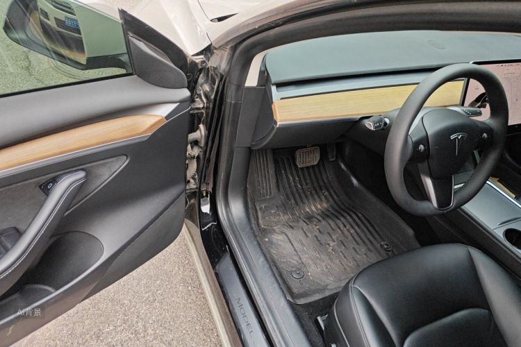 Tesla Model 3 2021 car image #18