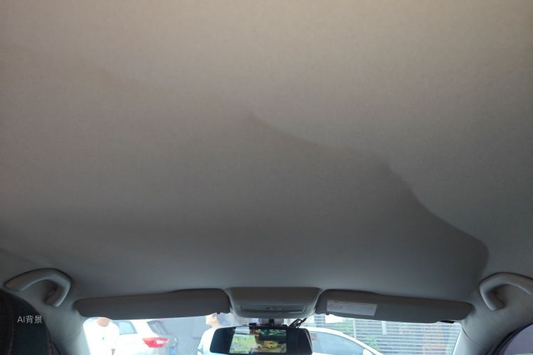 Volkswagen Polo 2015 car image #20