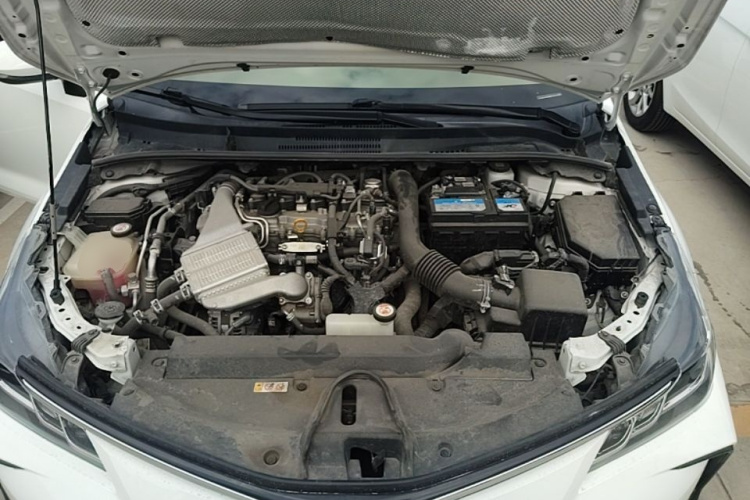 Toyota Corolla 2022 car image #20