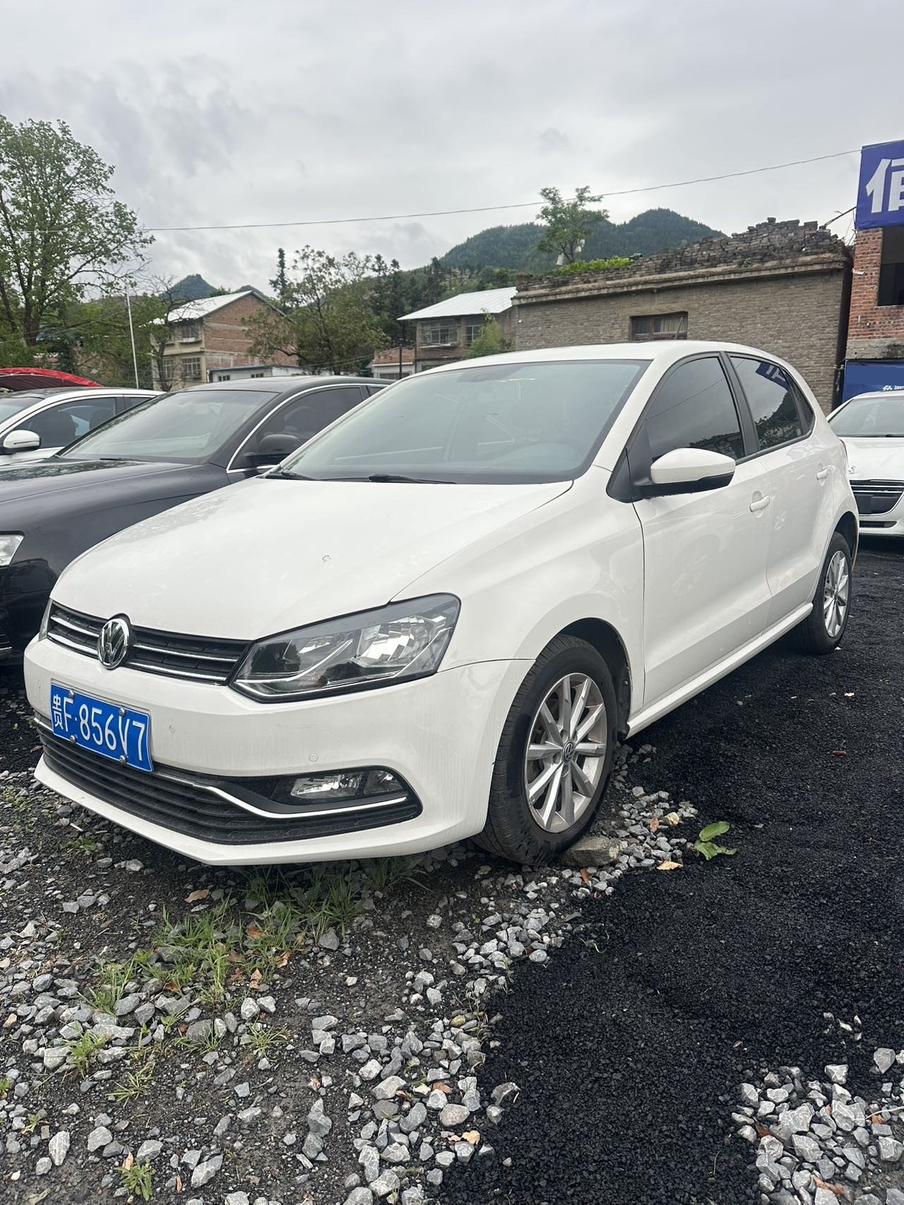 Volkswagen Polo 2015 image de voiture 