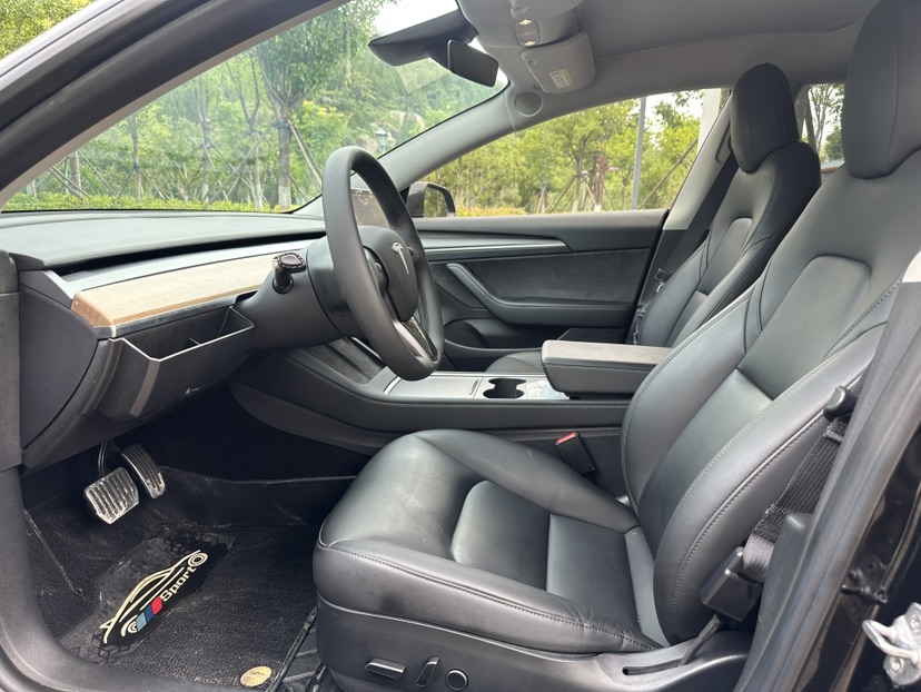 Tesla Model 3 2021 car image #4