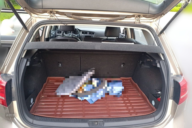 Volkswagen Golf 2015 car image #21