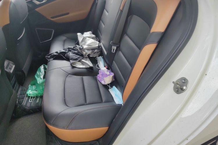 GEELY Emgrand GL 2020 car image #10
